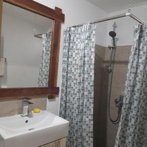 La salle de bains est pourvue d'un lavabo et d'une douche. dans l'établissement Holiday Surf Lodge, à Tamarin