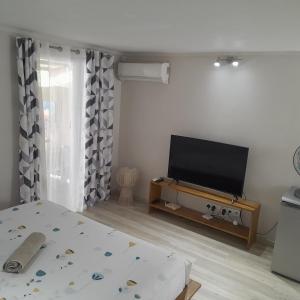 TV a/nebo společenská místnost v ubytování Holiday Surf Lodge