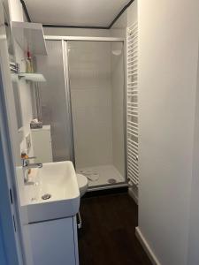 ヴァンガーオーゲにあるRobby 6 - Strandnahe, ruhige Ferienwohnung mit Balkonのバスルーム(シャワー、洗面台、トイレ付)