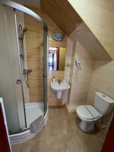 a bathroom with a shower and a toilet and a sink at Willa Balticus in Władysławowo
