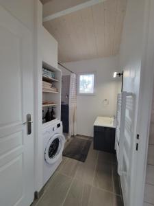 uma casa de banho com uma máquina de lavar roupa e um lavatório em La Cabane de l'Estran au bord de mer em Lanton
