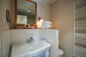 uma casa de banho com um lavatório, um espelho e um WC. em Hôtel Le Noirmoutier em Barbâtre