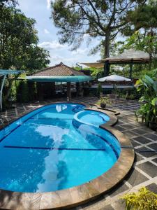 Kolam renang di atau dekat dengan Kulem Cisitu