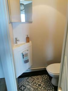 La petite salle de bains est pourvue d'un lavabo et de toilettes. dans l'établissement Flat in front of the TrainStation Saint Cyr lÉcole, à Saint-Cyr-lʼÉcole