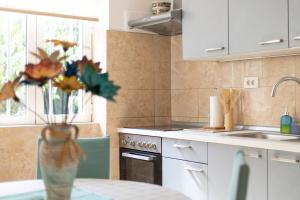 una cucina con lavello e fornello forno superiore di Apartments Melody a Spalato (Split)