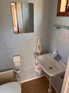 La salle de bains est pourvue d'un lavabo, de toilettes et d'un miroir. dans l'établissement Ellös Holiday apartment, à Ellös