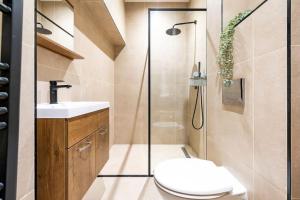 een badkamer met een douche, een toilet en een wastafel bij Old Town City Centre Apartment in Nijmegen