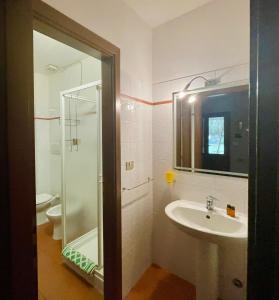 a bathroom with a sink and a shower and a toilet at PODERE OSLAVIA AZ.AGR.BIO GIANNINI in Alberese