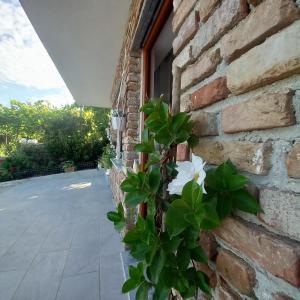 サランダにあるVILA PASHAの煉瓦造りの建物側白花