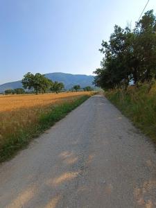uma estrada de terra no meio de um campo em Casa Cardarella em Beroide
