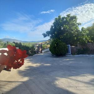 a view of the driveway of a house at VILA PASHA in Sarandë +3 photos