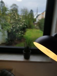 a close up of a yellow object in front of a window at Studio Apartments in Ruhrgebiet in Mülheim an der Ruhr