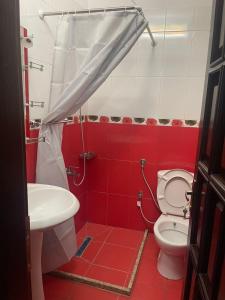 a red bathroom with a toilet and a sink at Leones Villa in Pogradec