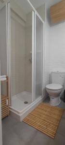 a bathroom with a shower and a toilet at Apartamento el Boquerón 3 in Torre del Mar