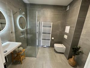 a bathroom with a toilet and a sink and a mirror at GREEN Apartment – City Centre – Main Square in Liptovský Mikuláš +38 photos