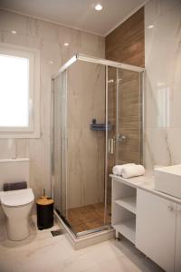 a bathroom with a shower and a toilet and a sink at Villa Anthodesmi in Dilináta