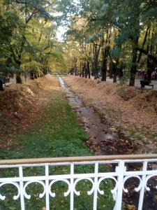 صورة لـ Malgo في Vrnjačka Banja