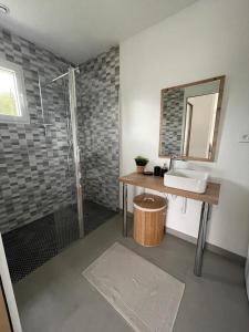 uma casa de banho com um lavatório e um chuveiro em Gites Les Mondaines - Les hirondelles em Favières
