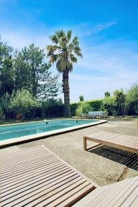 ein Pool mit einer Palme im Hintergrund in der Unterkunft Maison Provençale, Piscine, Charme et Tranquillité in Salernes