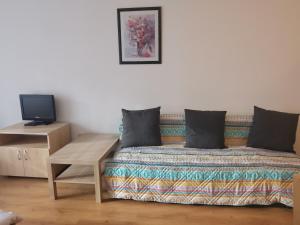 um quarto com uma cama com uma mesa e uma televisão em Family Studio Alex⅋Marry em Razlog