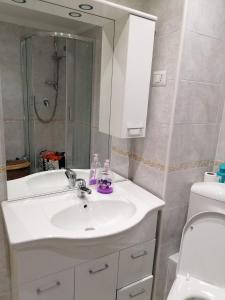 een badkamer met een wastafel, een spiegel en een toilet bij Céline in Genua