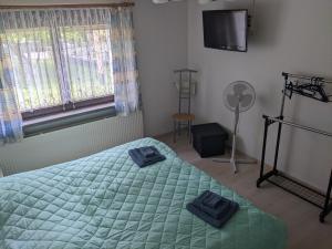 a bedroom with a bed and a fan and a television at Ferienwohnung Am Park in Greiz