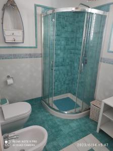 a bathroom with a shower and a toilet at Appartamento Rocche Rosse in Acquacalda
