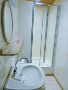 La salle de bains est pourvue d'un lavabo et d'une douche. dans l'établissement Gite de vieille maison rouge, à Rocroi
