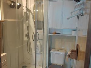 een kleine badkamer met een douche en een toilet bij Studio Villard-de-Lans, 1 pièce, 4 personnes - FR-1-689-120 in Villard-de-Lans
