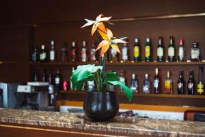 a black vase with a flower on a bar at Byzantio Hotel in Thessaloniki