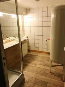 een badkamer met een wastafel en een spiegel bij Les jonquilles in Rancennes