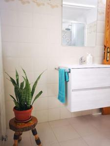 a bathroom with a plant on a stool next to a sink at Casa vacanze Lola, Oria in Oria