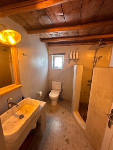 Rizes Mykonos - Folklore Farmstead في مدينة ميكونوس: حمام مع حوض ومرحاض