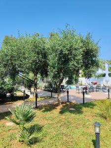 un parco con due alberi e un tavolo con sedie di Sweet Sicily Apartments a Carini