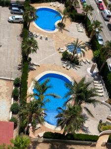 een uitzicht over de 3 zwembaden met palmbomen bij Esmeralda Suites in Calpe