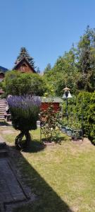 um jardim com flores roxas e uma casa em Anna Ilona Vendégház em Badacsonytomaj