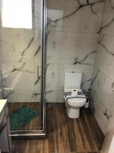 uma casa de banho com um WC e uma cabina de duche em vidro. em Casa Real beach em Polykhrono