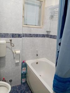Kép Rooms for Exit 2024 - for 2 or 4 people for 4 nights 11-15 July szállásáról Péterváradon a galériában