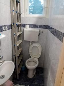 Kép Rooms for Exit 2024 - for 2 or 4 people for 4 nights 11-15 July szállásáról Péterváradon a galériában