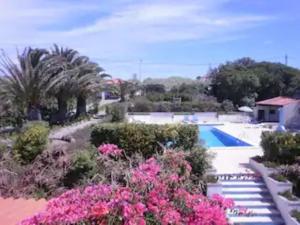 a resort with a swimming pool and some pink flowers at Alto da Praia Villa in Colares