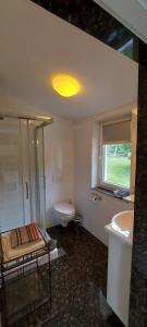 a bathroom with a shower and a toilet and a sink at Apartman Nevia lka in Opric