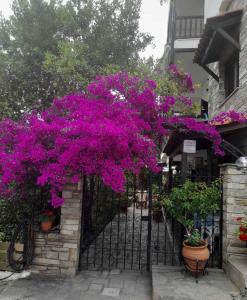 Una puerta de hierro negra con flores púrpuras. en Papatzikos Traditional Guesthouse, en Neos Marmaras