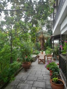 un patio con un montón de plantas y flores en Papatzikos Traditional Guesthouse, en Neos Marmaras