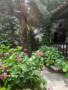 a garden with pink flowers and a fence at Papatzikos Traditional Guesthouse in Neos Marmaras