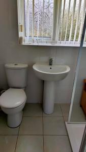 a bathroom with a toilet and a sink and a window at Linksway House in Birkenhead