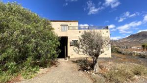 una casa en medio de un campo con un árbol en Casa Surf La Higuerita, en Tetir