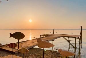 uma doca com gaivotas na margem de um lago em TóPartiHáz em Balatonszárszó