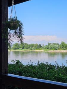 Gallery image of ELBBLICK in Storkau