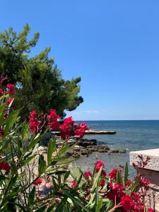 Gallery image of Apartments Valentina in Umag