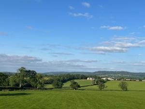 a green field with trees in the distance at Stunning 1-Bed in Bruton Somerset stunning views in Bruton